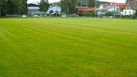 tsv-leinzell verein sportstätten
